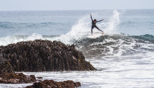 Sirenas en Punta de Lobos / Pre QS 2015