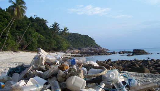 “Trash Money” busca limpiar las playas chilenas a cambio de ropa