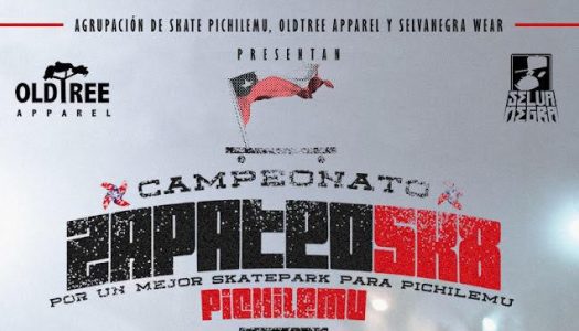 La agrupación Skate Pichilemu presenta : Zapateo SK8