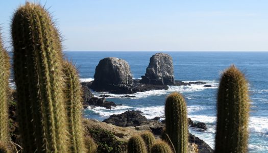 Representantes de Costa Chile y Observatorio de la Costa serán parte de mesa técnica para discutir “Ley de Borde Costero” en el Senado