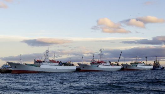 Megaflota china acusada de depredación de recursos ya navega por aguas chilenas