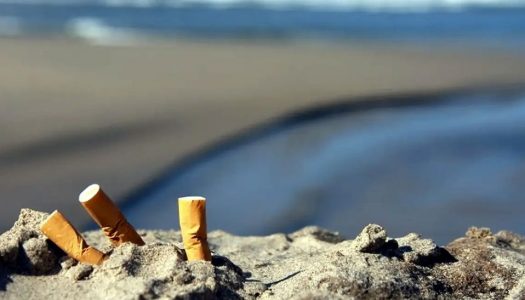 Comisión de medio ambiente: Aprueban prohibición de fumar en playas, ríos y lagos