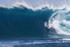 kemper_b1344peahi17hallman_n