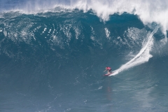long_g8132peahi17saguibo_mm