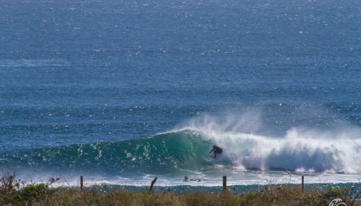 Surf en el Patio