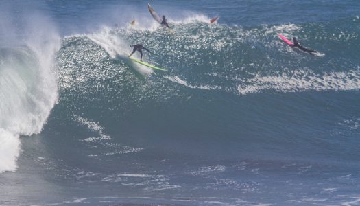 Fotos : Punta de Lobos 17.06.16