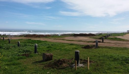 El misterio tras el cierre del acceso a playa La Ballena