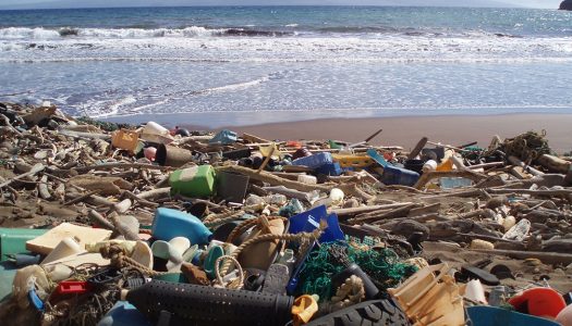 23 de septiembre: Día Internacional de Limpieza de Playas