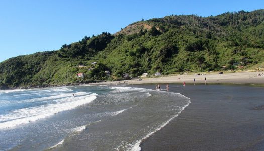 Caleta Mehuín: dos décadas de resistencia al ducto