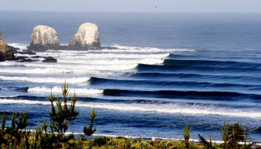 En SurfBeats Festival, súmate y apoya a Fundación Punta de Lobos