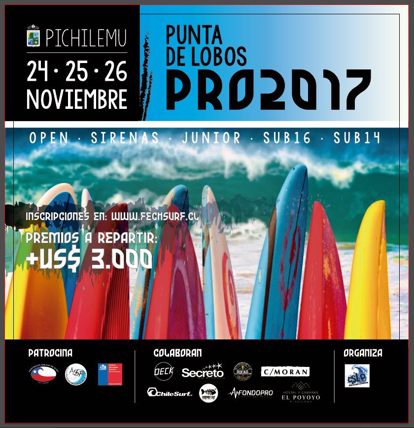 puntadelobospro