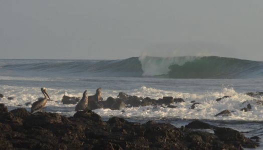 Chilenos lideran el ranking ALAS tras 2da jornada de competencias en Galápagos