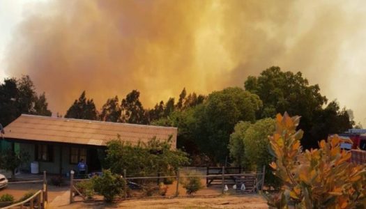 Alerta Roja: Incendio forestal afecta la zona cercana a Topocalma