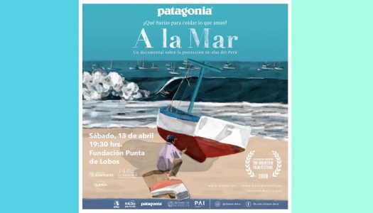 “A la mar”, el documental que muestra la lucha de los surfistas por proteger las olas