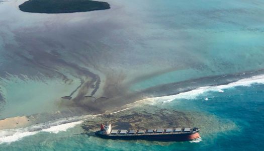 Declaran el estado de Emergencia Ambiental en la Isla Mauricio por derrame de petróleo